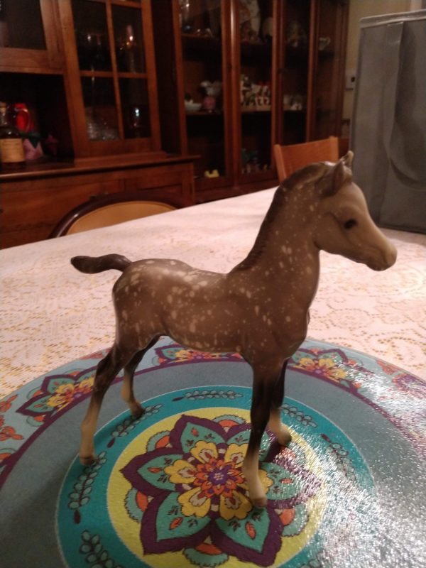Proud Arabian Foal - Image 2