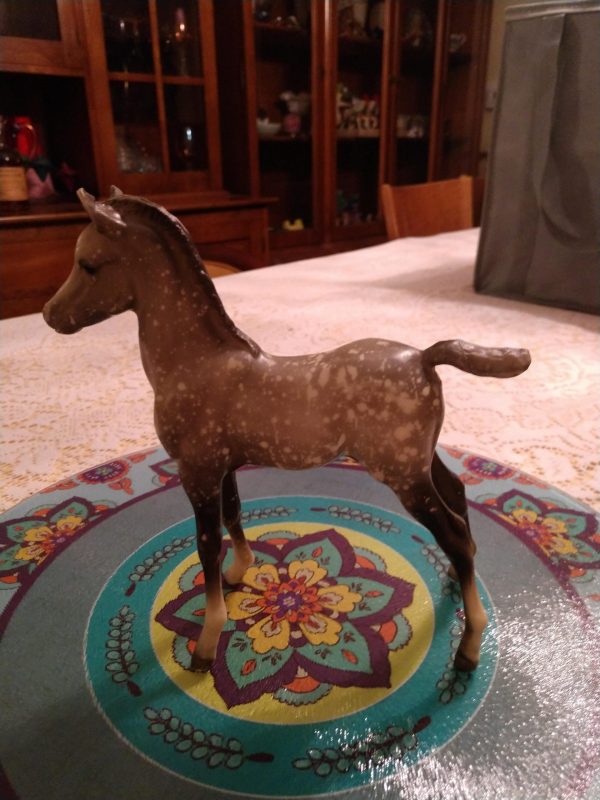 Proud Arabian Foal