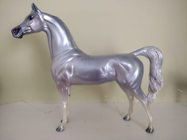 Peter Stone Arabian Horse Opal