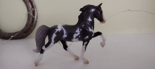 Flashy Grey and white sabino Tennessee Walker SM - Image 2