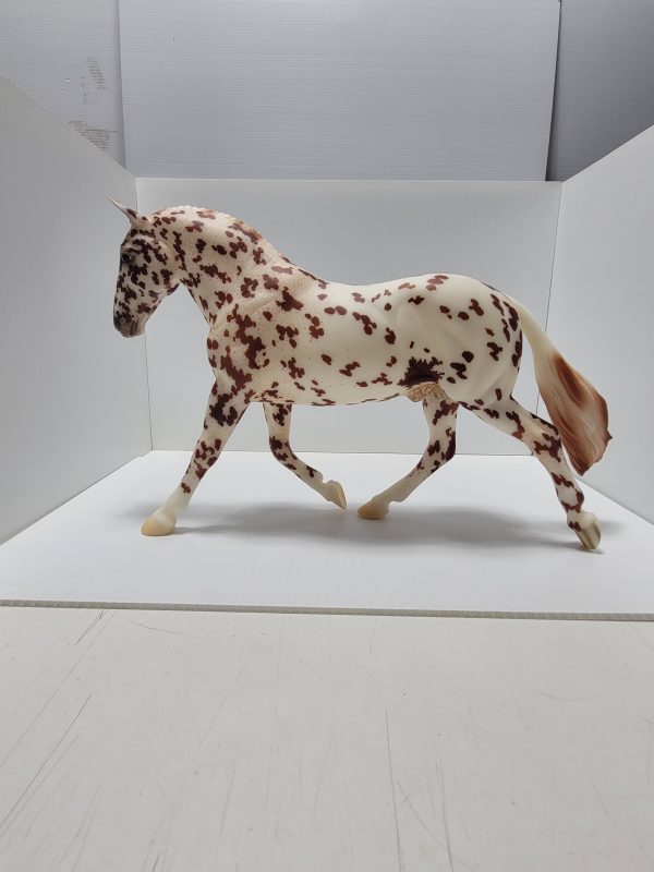 Rotating Draft  Surprise Leopard Appaloosa BF22 - Image 2