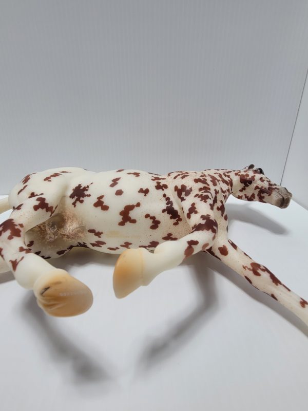 Rotating Draft  Surprise Leopard Appaloosa BF22 - Image 3