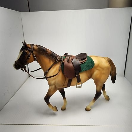 Kiwi, Australian Stock Horse With brown leather English saddle and bridle