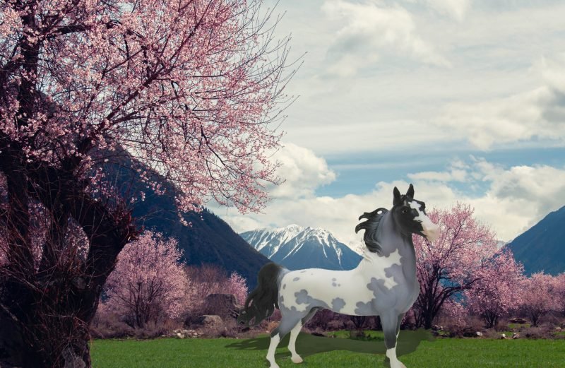 Spring Has Sprung Web Special Model Horse