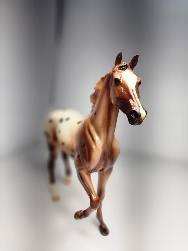 Breyer Web Special 2020 Sassy on Lonesome Glory Mold - Image 5