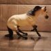 Breyer Hollywood Dun It – Classic Slyder Horse