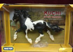 Kuchi Gypsy Vanner Mare 