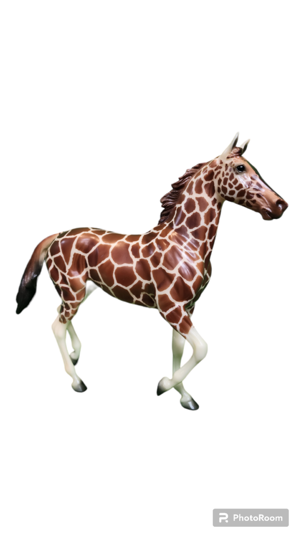 Nadifa 2019 Wild Animal Series Web Special - Image 3