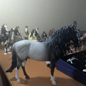 Salud Breyerfest 2025 Volunteer Model